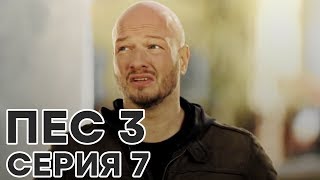 Сериал ПЕС - все серии - 3 сезон - 7 серия - смотреть онлайн