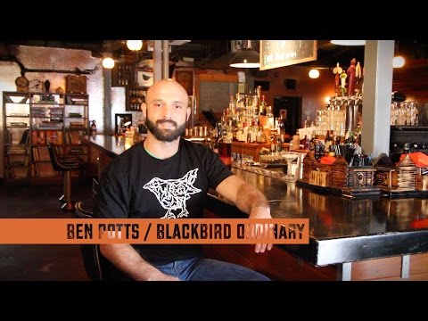 Ben Potts / Blackbird Ordinary / Barn Swallow