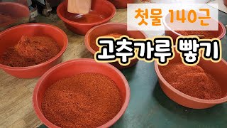 첫물고추 140근 햇고추가루 빻기 방앗간 사장님 고추시세 전망?