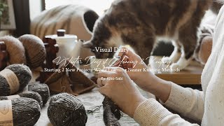 Visual Diary 104 | Winter Day of Cleaning & Knitting | Learning Neater Way to Knit 2 New Projects
