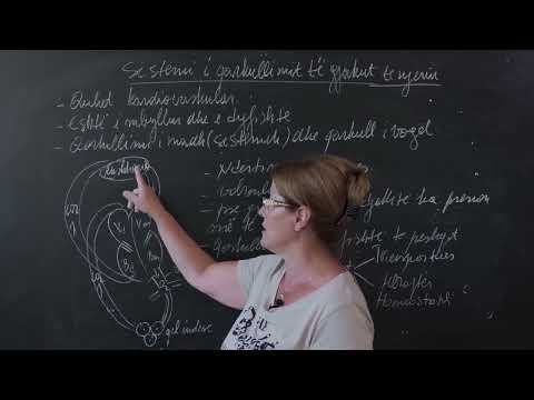 Biologjia 10 Sistemi i qarkullimit të gjakut tek njeriu