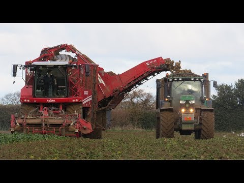 Harvesting Sugar Beet!