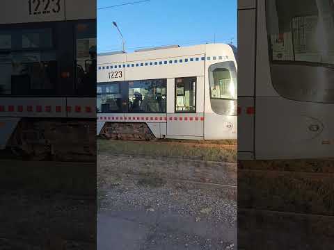 #tram #bus #russia tram pesa foxtrot polsha ufa #russia новый трамвай в уфе транспорт    уфа