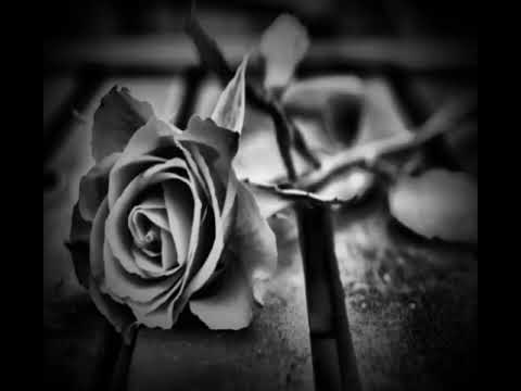 Mr Navi feat Mr Brand (при. уч  Mr Karom)