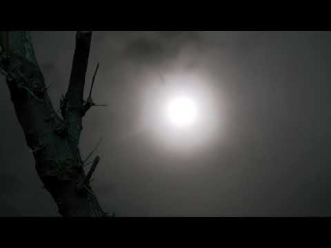 Kisah Gadis Amerika Ditolong Malaikat - Ustadz Khalid Basalamah.mp4