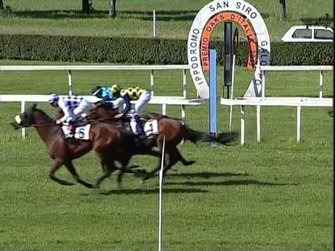 Premio Carlo Vittadini 2013 GRUPPO 2)