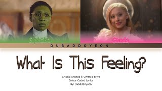 Wicked - What Is This Feeling? [Color Coded Lyrics]