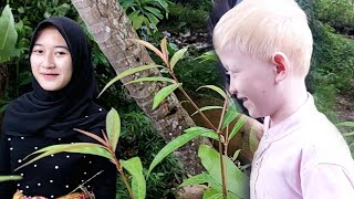 Download lagu Viralkan !! Neng Anggi gadis desa cantik santun || punya saudara mirip bule belanda mp3