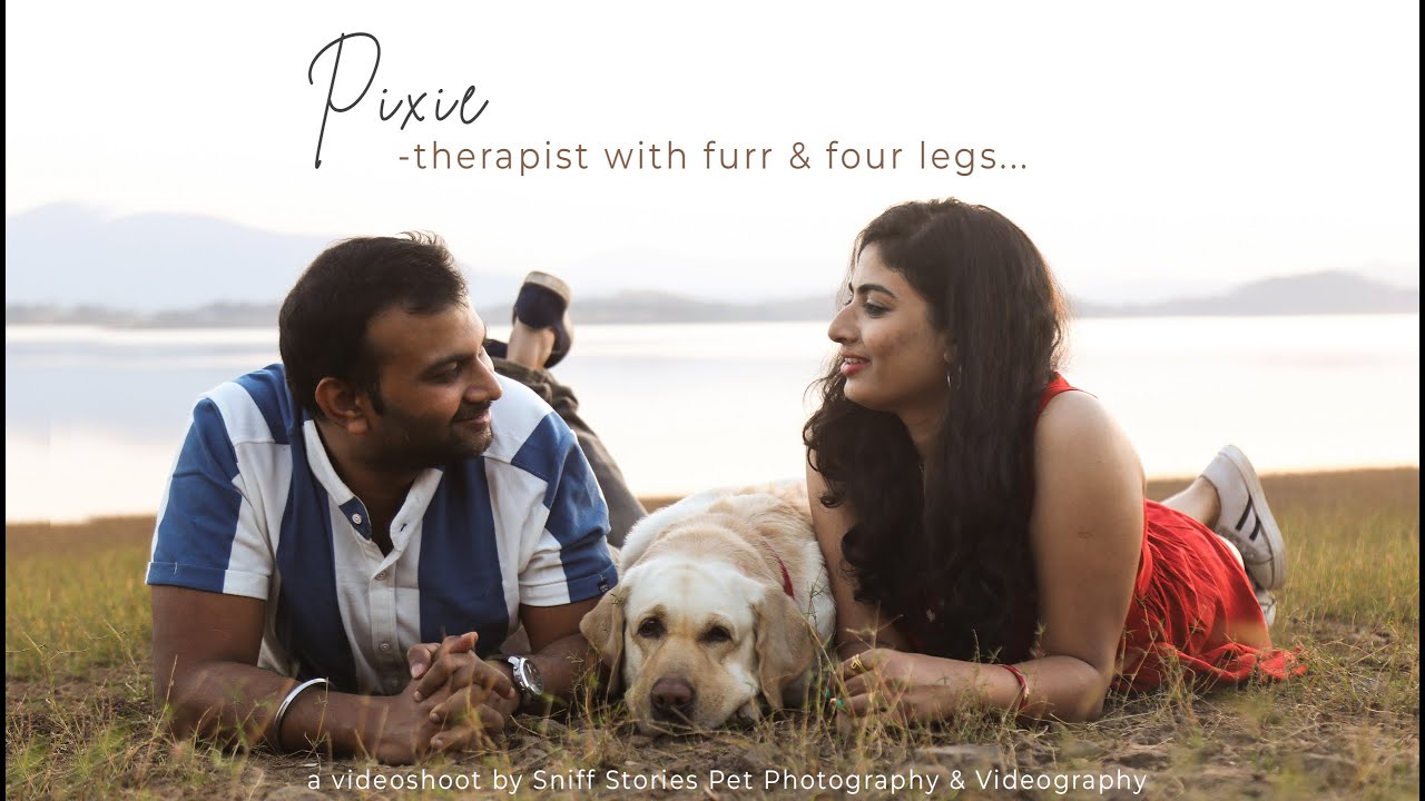 Pixie - therapist with fur and four legs