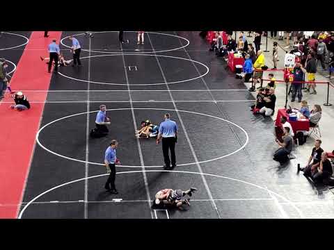 Folkstyle Wrestling State Champion