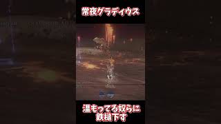 ぬくもり石2枚抜き常夜グラディウス【ELDEN RING NIGHTREIGN】