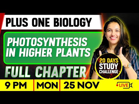Plus One  Biology | Photosynthesis in Higher Plants | Full Chapter | Exam Winner Plus One
