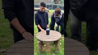 Download lagu Gorilla Says Now That’s It! 😂 #gorilla #gorillatag #funny #fyp #trending mp3 Download lagu Gorilla Says Now That’s It! 😂 #gorilla #gorillatag #funny #fyp #trending mp3