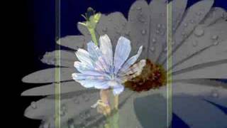 Szeitz Kriszta -  Mondj igent!