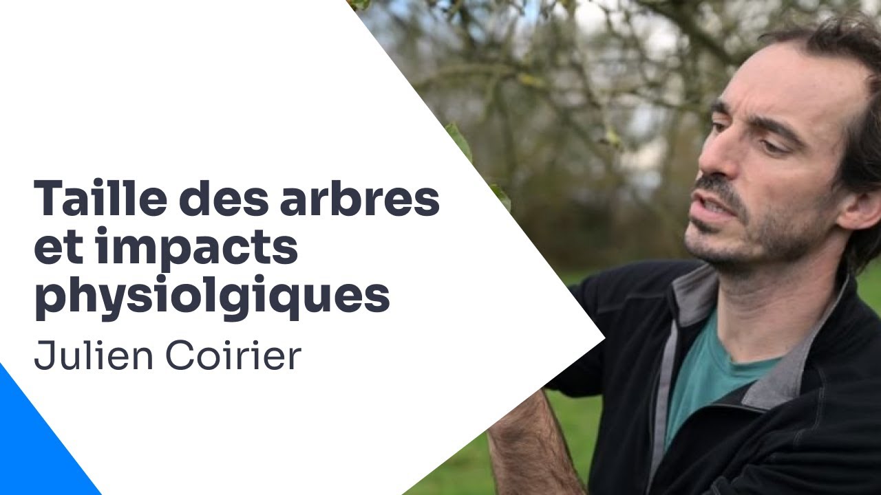 Physiologie des arbres et taille, Julien Coirier