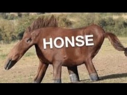 UNUSUAL GEN Z HUMOR MEME SOUND EFFECT COMPILATION