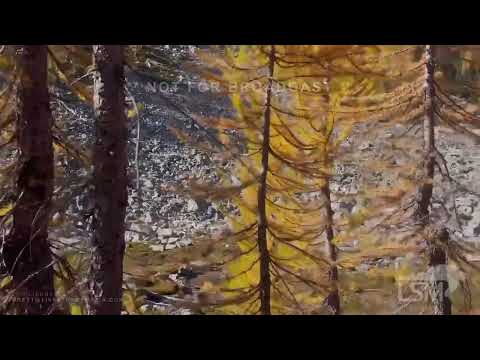 10-10-2022 Washington State -Beautiful Fall Colors with Smoke