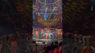 Spectacular show Awakening#awakening #wynn #show #shorts