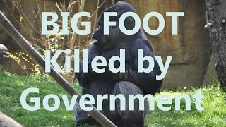 Bigfoot Sasquatch Being Secretly Killed by Government