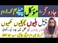 Jadugaron Ke Mokkal Jo Jadu Ki Rakhwali Kerte Han Sb Khatem Kerne Ka Qurani Dam Chapkali Billi