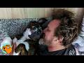 Man Always Wanted A Dog So His Wife Surprised Him Cuddle Buddies