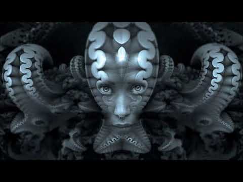 Area23 Vs Bertha - Back to dark (Acidcore)