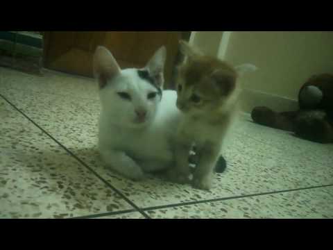 OMG That girl kissed me....!!!!!