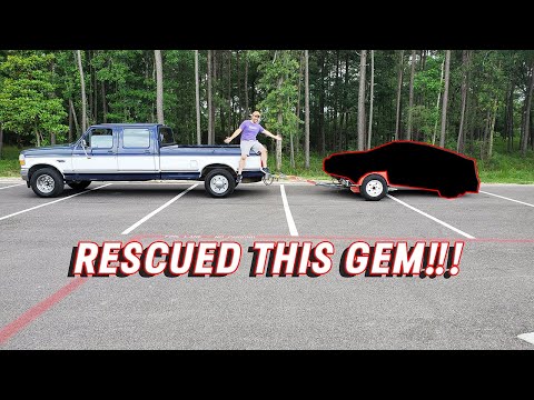 We Rescued This Beautiful CRX, That Just Needs Some Attention!