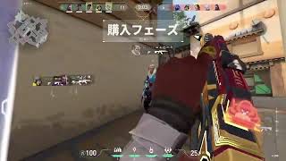 ザベザベス のライブ配信