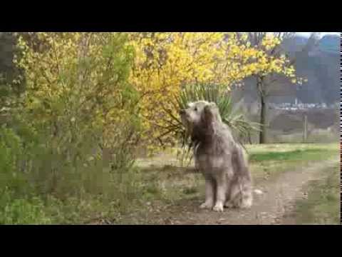 120404 GAT I GUS.avi