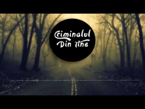 Lavinia Ionita   Criminalul din tine Official Single