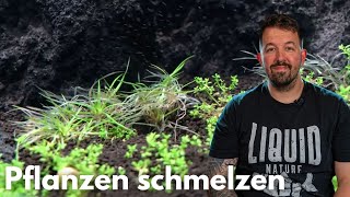 Probleme in der EInlaufphase