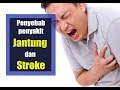Penyebab penyakit JANTUNG dan STROKE - BUKAN CHOLESTEROL !! Penyebab penyakit JANTUNG dan STROKE - BUKAN CHOLESTEROL !!