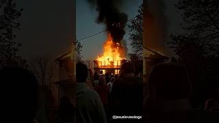 The golden retriever rescued the baby from the fire #goldenretriever #rescuedog