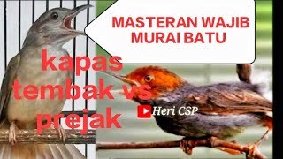 Download lagu KAPAS TEMBAK VS PREJAK  tiiirrr...!  JERNIH masteran wajib MURAI BATU LOMBA mp3