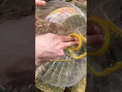 Catching fish with a plastic bottle?🥵 #fish #fishtrap #fishing #survivalskills#goodtoknow#bushcraft