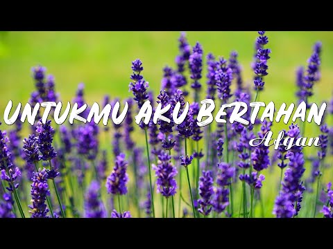 Afgan - Untukmu Aku Bertahan | Lirik Lagu Indonesia