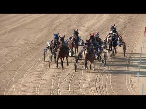 2020.02.08. 03. futam - ŐRANGYAL DÍJ