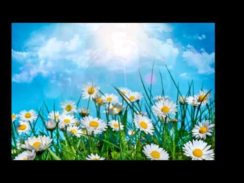 Lusine Zakarian - Aravot Louso (Morning of Light)