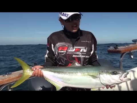 Targeting Yellow Tail off Cape Point | ASFN Deep Sea
