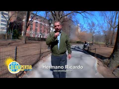 Despertares TV - video de Radio El Despertar