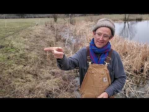 Here is how to make money with stockpiled forage.