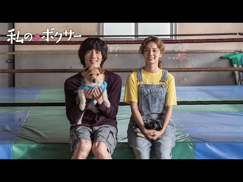『私のボクサー』DVD予告