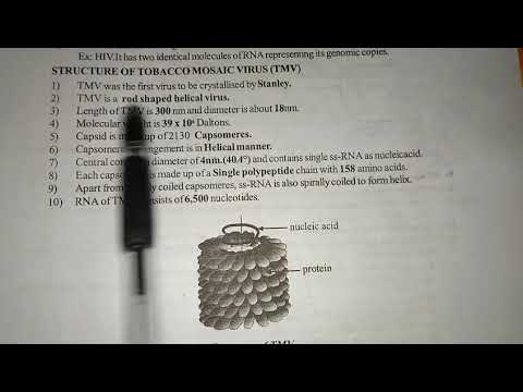 GLYCOLYSIS OR EMP PATHWAY BY PHANINDRA GUPTHA
