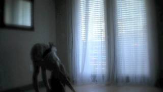 Oh, Louise (The Dimes)