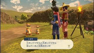 序盤にクリアは難しい...？サブ任務4「ブイゼルの背くらべ」ムービー【Pokémon LEGENDS アルセウス】