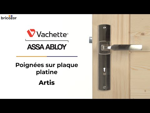 Poignées sur plaques - 195 mm - aluminium - gris platine - Artis VACHETTE