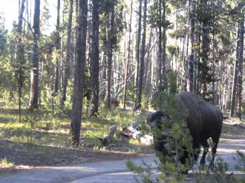 Így kell csendben állni