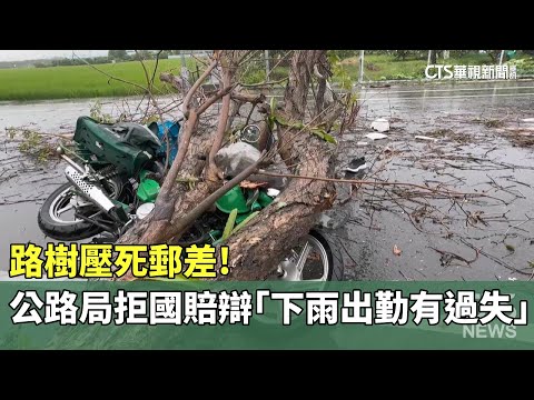 路樹壓死郵差！　公路局拒國賠辯「下雨出勤有過失」