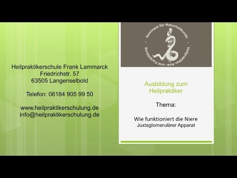 Hypertonie grüner Tee Hypertonie. die Rolle der Bewegungstherapie